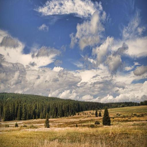 Landscapes Original 52